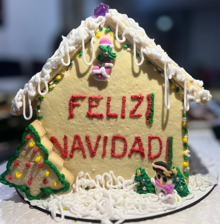 KIT Casa Galleta Navidad Ibagué - Imagen 2