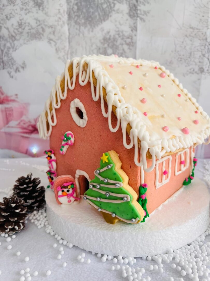 KIT Casa Galleta Navidad Ibagué